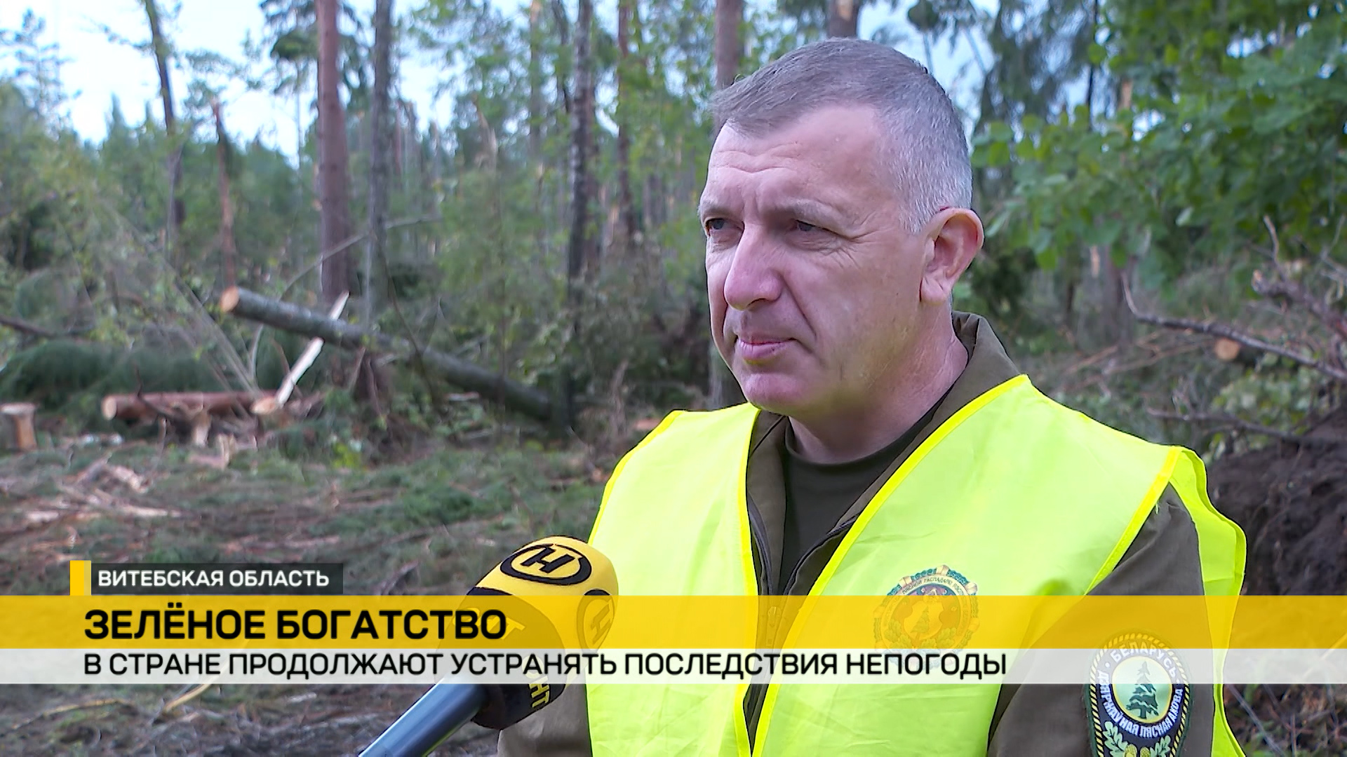 в Беларуси устраняют последствия непогоды